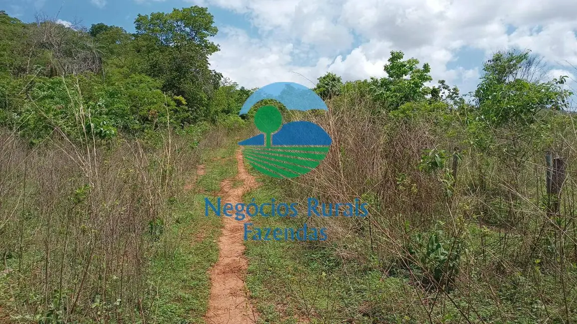 Foto 2 de Fazenda / Haras com 2 quartos à venda, 954m2 em Campinacu - GO