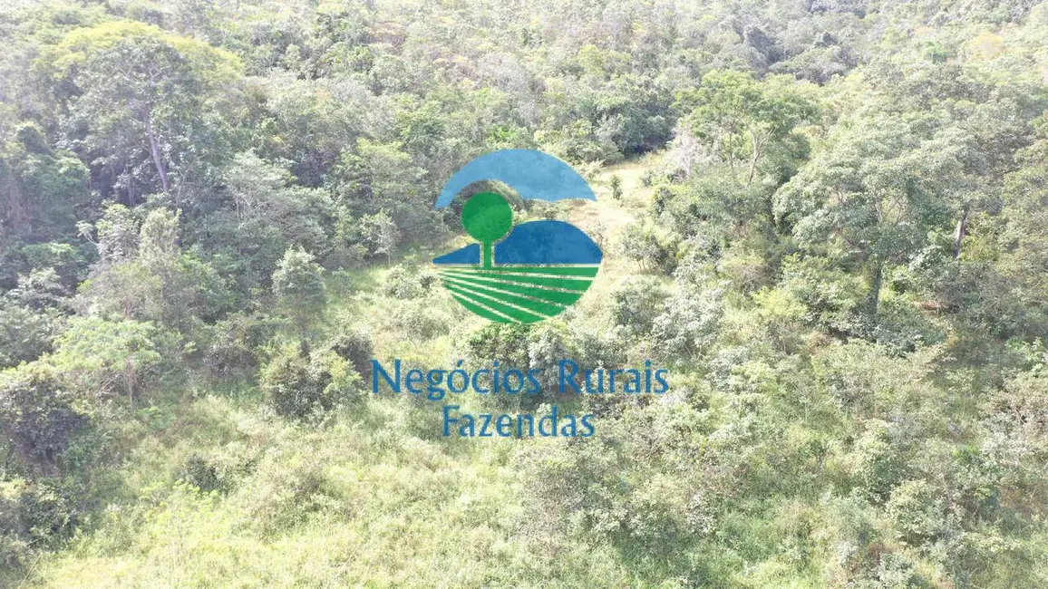 Foto 5 de Fazenda / Haras com 2 quartos à venda, 954m2 em Campinacu - GO