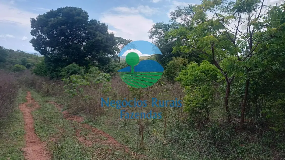 Foto 9 de Fazenda / Haras com 2 quartos à venda, 954m2 em Campinacu - GO