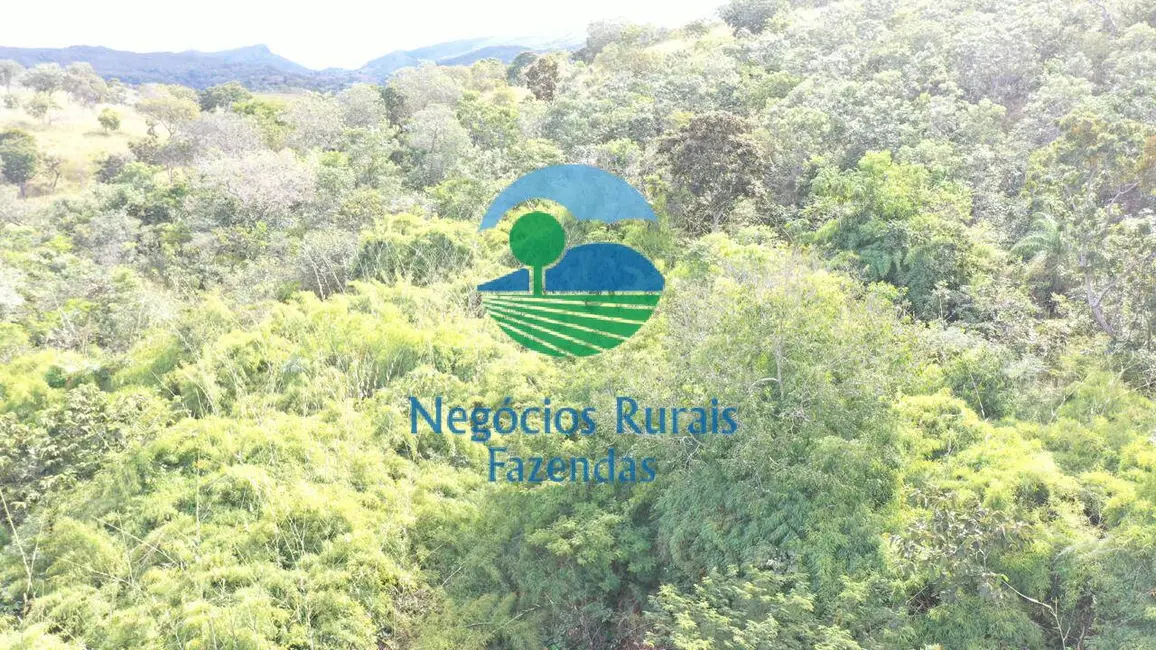 Foto 8 de Fazenda / Haras com 2 quartos à venda, 954m2 em Campinacu - GO