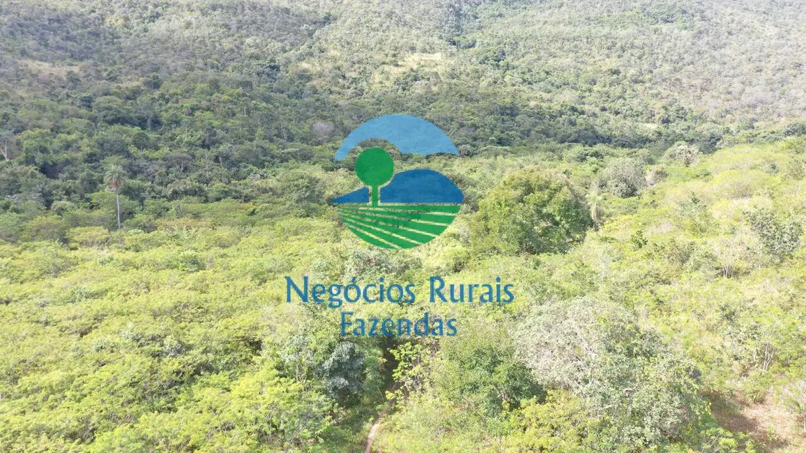 Foto 6 de Fazenda / Haras com 2 quartos à venda, 954m2 em Campinacu - GO