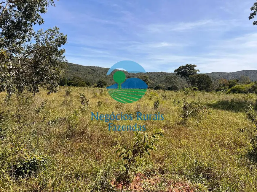 Foto 8 de Fazenda / Haras à venda, 1001m2 em Campinacu - GO