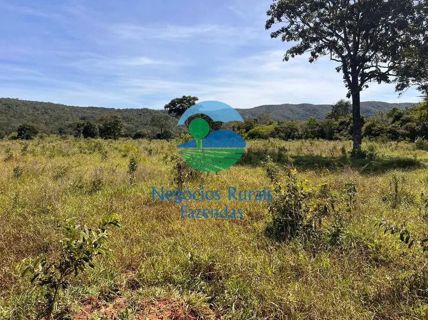 Foto 4 de Fazenda / Haras à venda, 1001m2 em Campinacu - GO