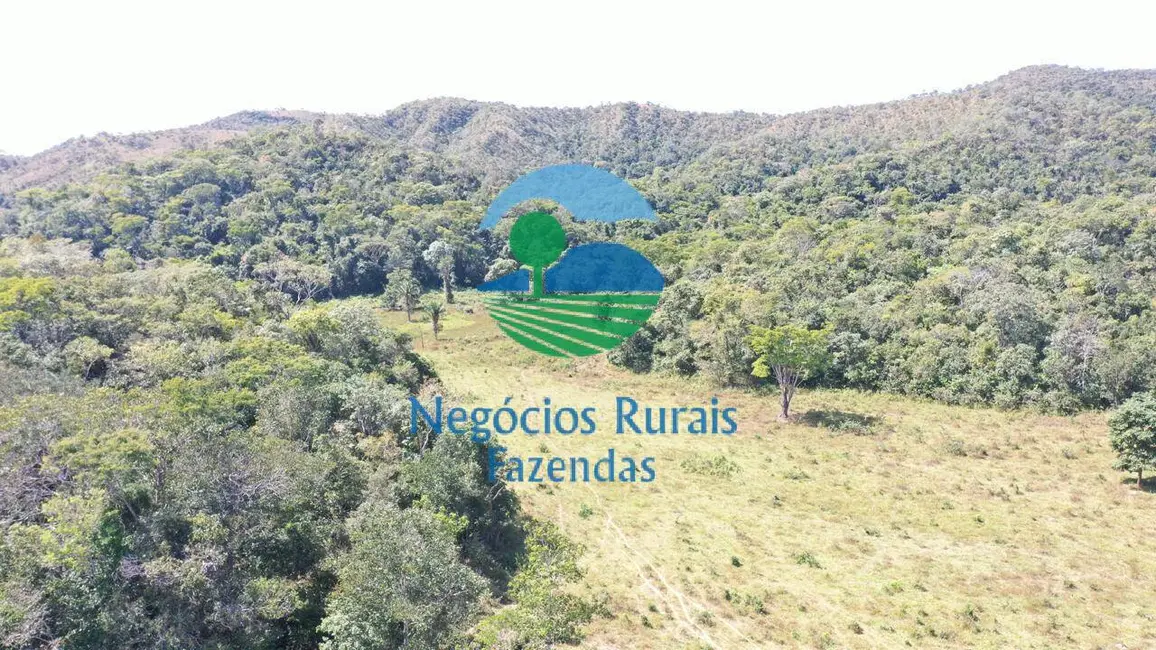 Foto 9 de Fazenda / Haras à venda, 1001m2 em Campinacu - GO