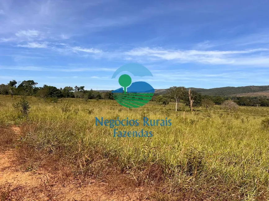 Foto 6 de Fazenda / Haras à venda, 1001m2 em Campinacu - GO