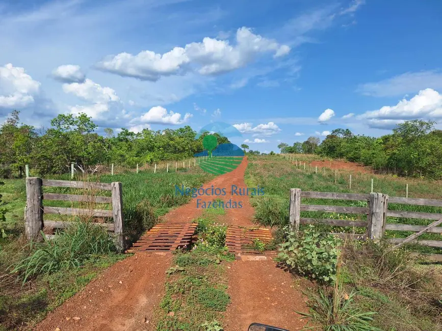 Foto 3 de Fazenda / Haras com 4 quartos à venda, 2207m2 em Parana - TO