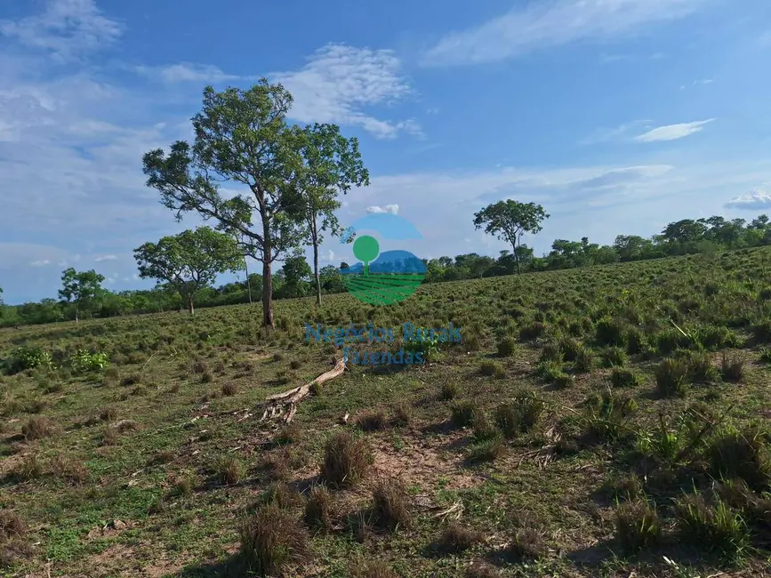 Foto 7 de Fazenda / Haras com 4 quartos à venda, 2207m2 em Parana - TO