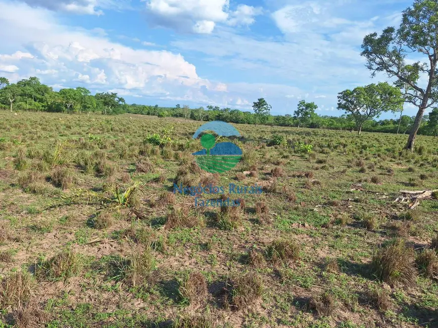 Foto 8 de Fazenda / Haras com 4 quartos à venda, 2207m2 em Parana - TO
