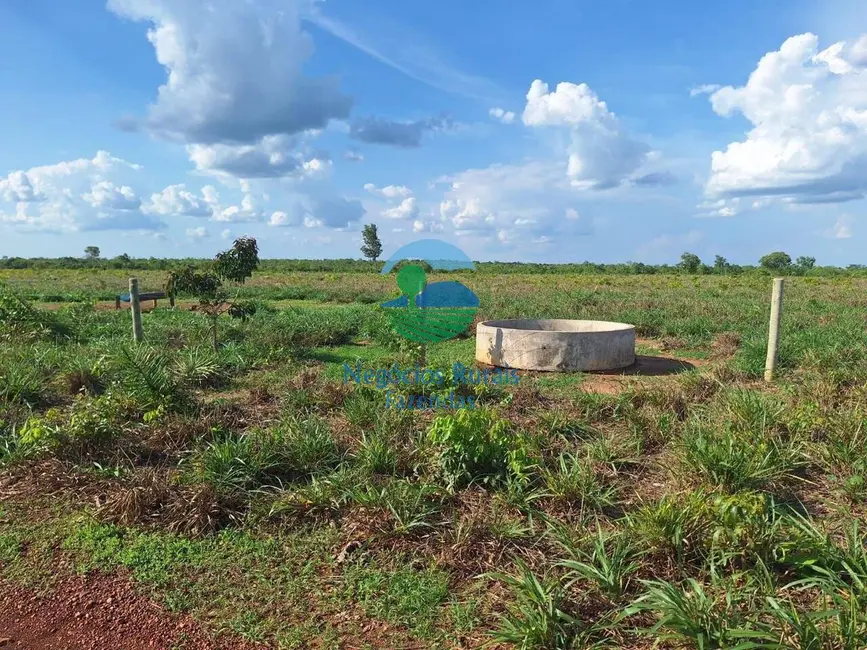 Fazenda / Haras à venda, 5005m2 em Gurupi - TO - imagem 6 Foto 6 de Fazenda / Haras à venda, 5005m2 em Gurupi - TO