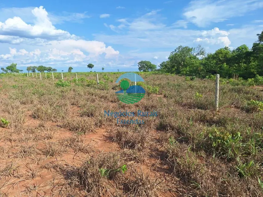 Fazenda / Haras à venda, 5005m2 em Gurupi - TO - imagem 3 Foto 3 de Fazenda / Haras à venda, 5005m2 em Gurupi - TO