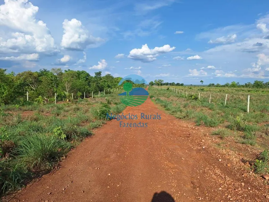 Fazenda / Haras à venda, 5005m2 em Gurupi - TO - imagem 5 Foto 5 de Fazenda / Haras à venda, 5005m2 em Gurupi - TO