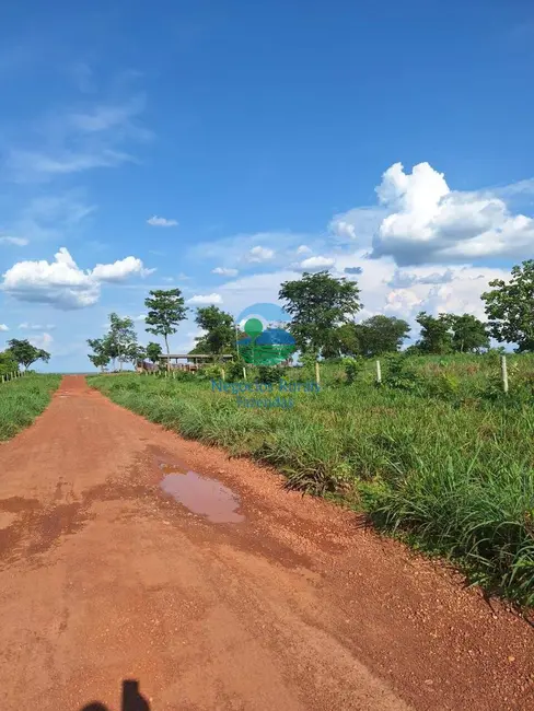 Fazenda / Haras à venda, 5005m2 em Gurupi - TO - imagem 7 Foto 7 de Fazenda / Haras à venda, 5005m2 em Gurupi - TO