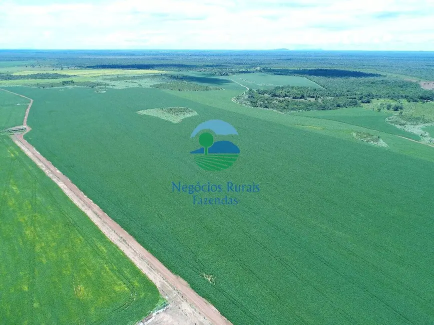 Fazenda / Haras à venda, 5005m2 em Gurupi - TO - imagem 4 Foto 4 de Fazenda / Haras à venda, 5005m2 em Gurupi - TO