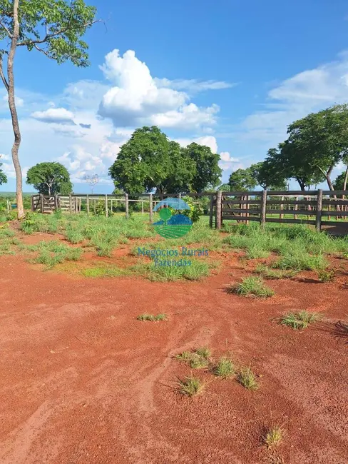 Fazenda / Haras à venda, 5005m2 em Gurupi - TO - imagem 9 Foto 9 de Fazenda / Haras à venda, 5005m2 em Gurupi - TO