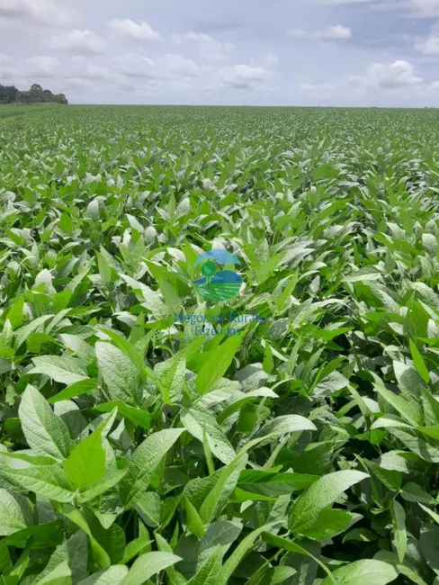 Foto 9 de Fazenda / Haras à venda, 4805m2 em Cristalandia - TO