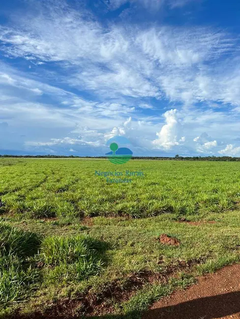 Foto 2 de Fazenda / Haras à venda, 4805m2 em Cristalandia - TO