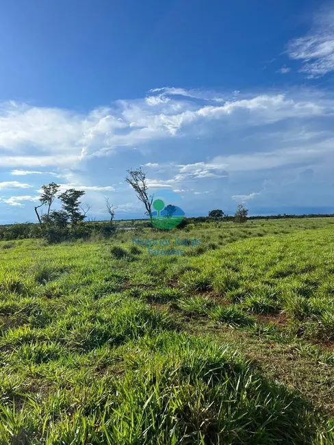 Foto 7 de Fazenda / Haras à venda, 4805m2 em Cristalandia - TO