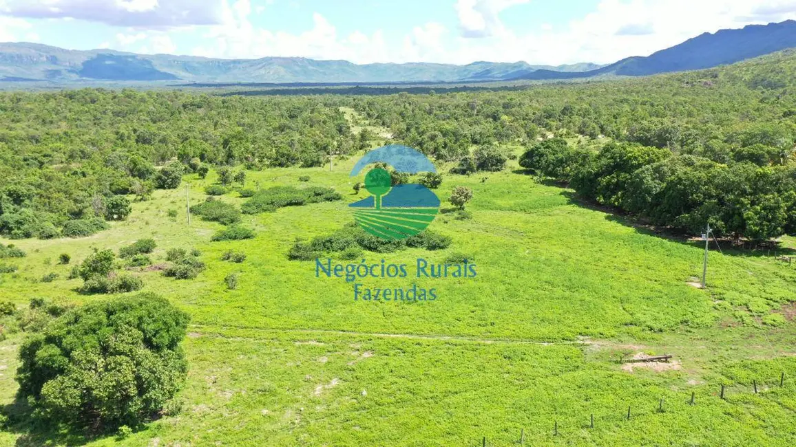 Foto 1 de Fazenda / Haras com 2 quartos à venda, 3436m2 em Parana, TO