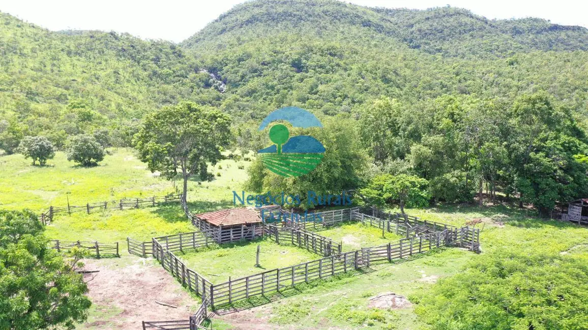 Foto 3 de Fazenda / Haras com 2 quartos à venda, 3436m2 em Parana - TO