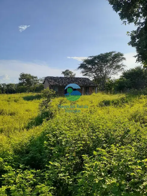 Foto 9 de Fazenda / Haras com 2 quartos à venda, 4307m2 em Taipas Do Tocantins - TO