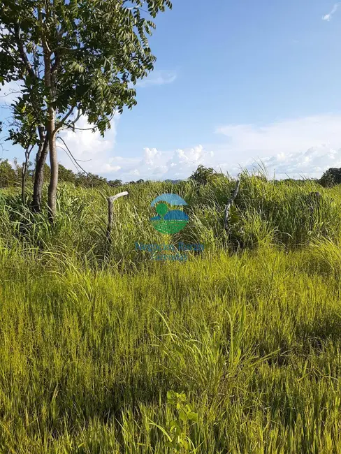 Foto 1 de Fazenda / Haras com 2 quartos à venda, 4307m2 em Taipas Do Tocantins - TO