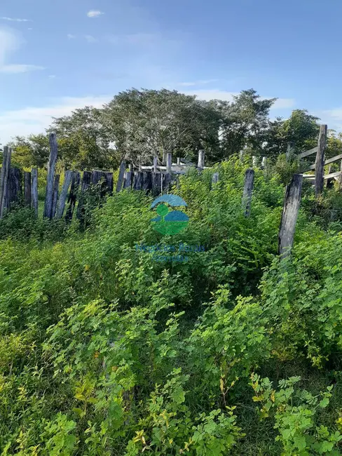 Foto 3 de Fazenda / Haras com 2 quartos à venda, 4307m2 em Taipas Do Tocantins - TO