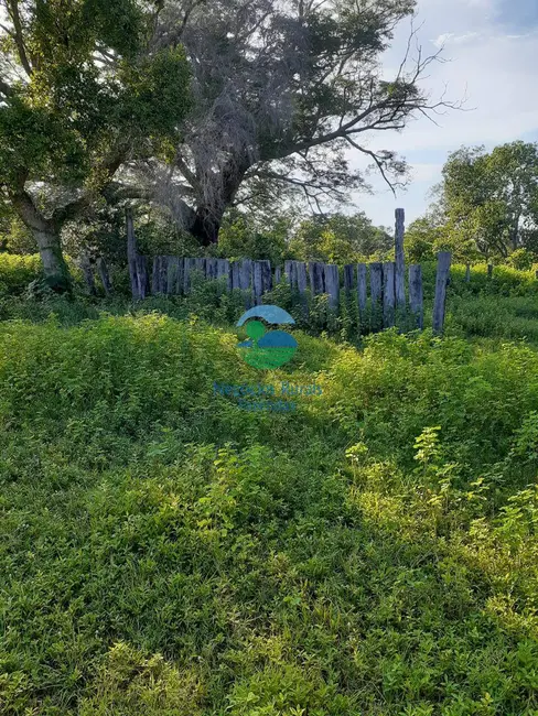 Foto 4 de Fazenda / Haras com 2 quartos à venda, 4307m2 em Taipas Do Tocantins - TO