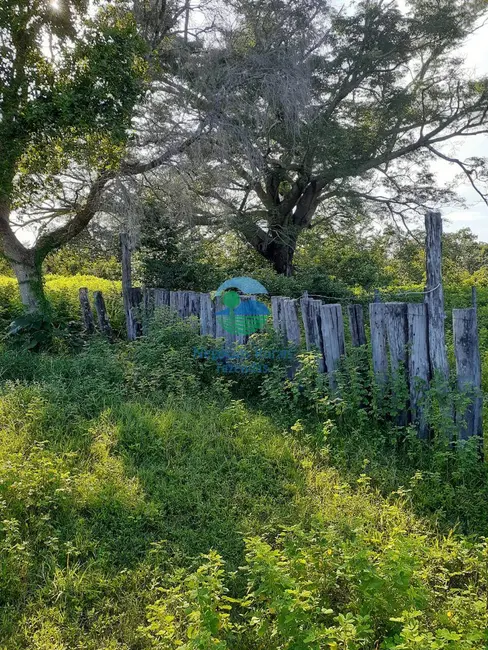 Foto 5 de Fazenda / Haras com 2 quartos à venda, 4307m2 em Taipas Do Tocantins - TO