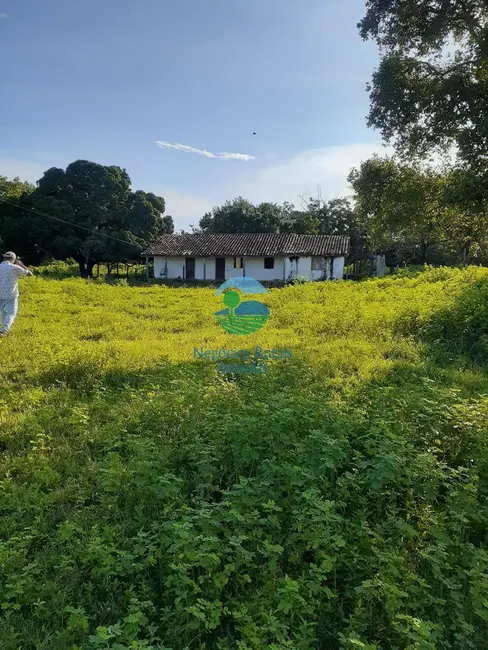 Foto 6 de Fazenda / Haras com 2 quartos à venda, 4307m2 em Taipas Do Tocantins - TO