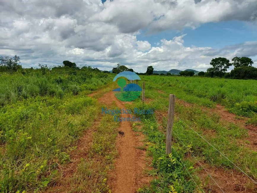 Fazenda / Haras à venda, 525m2 em Gurupi - TO - imagem 1 Foto 1 de Fazenda / Haras à venda, 525m2 em Gurupi - TO