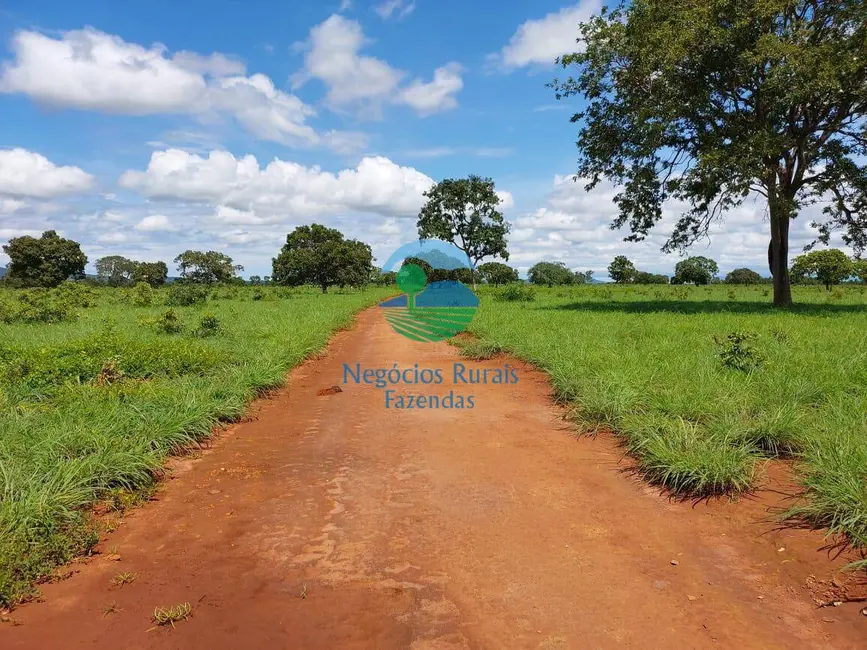 Fazenda / Haras à venda, 525m2 em Gurupi - TO - imagem 4 Foto 4 de Fazenda / Haras à venda, 525m2 em Gurupi - TO