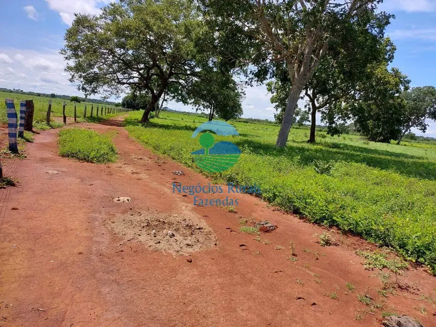 Fazenda / Haras à venda, 525m2 em Gurupi - TO - imagem 2 Foto 2 de Fazenda / Haras à venda, 525m2 em Gurupi - TO