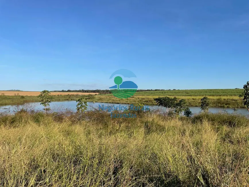 Foto 5 de Fazenda / Haras à venda em Goianesia - GO