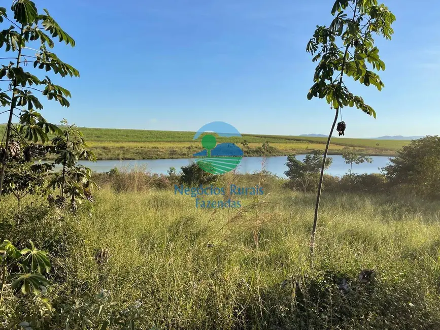 Foto 11 de Fazenda / Haras à venda em Goianesia - GO