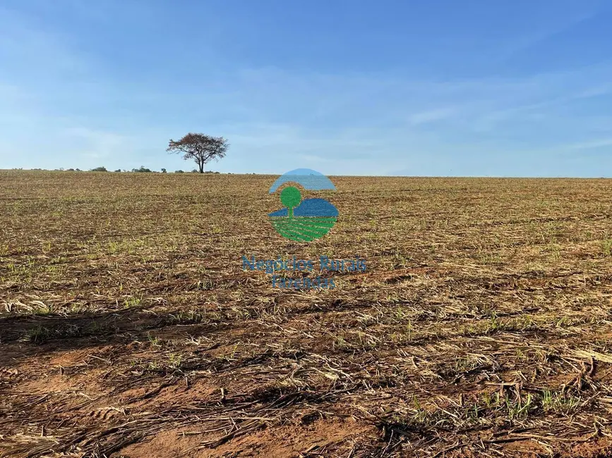 Foto 14 de Fazenda / Haras à venda em Goianesia - GO