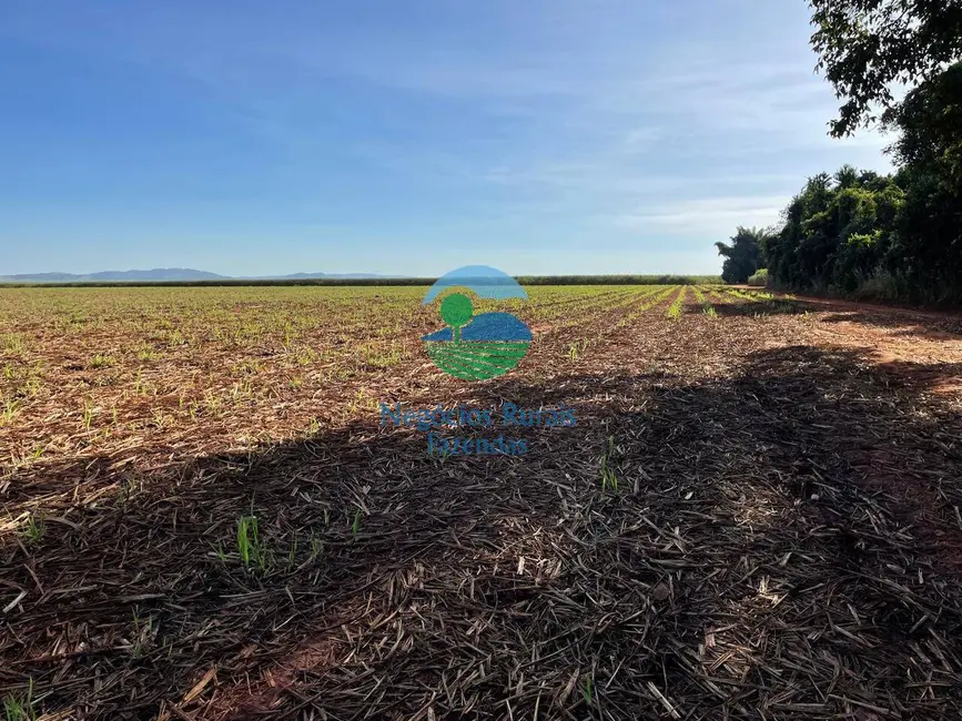 Foto 2 de Fazenda / Haras à venda em Goianesia - GO