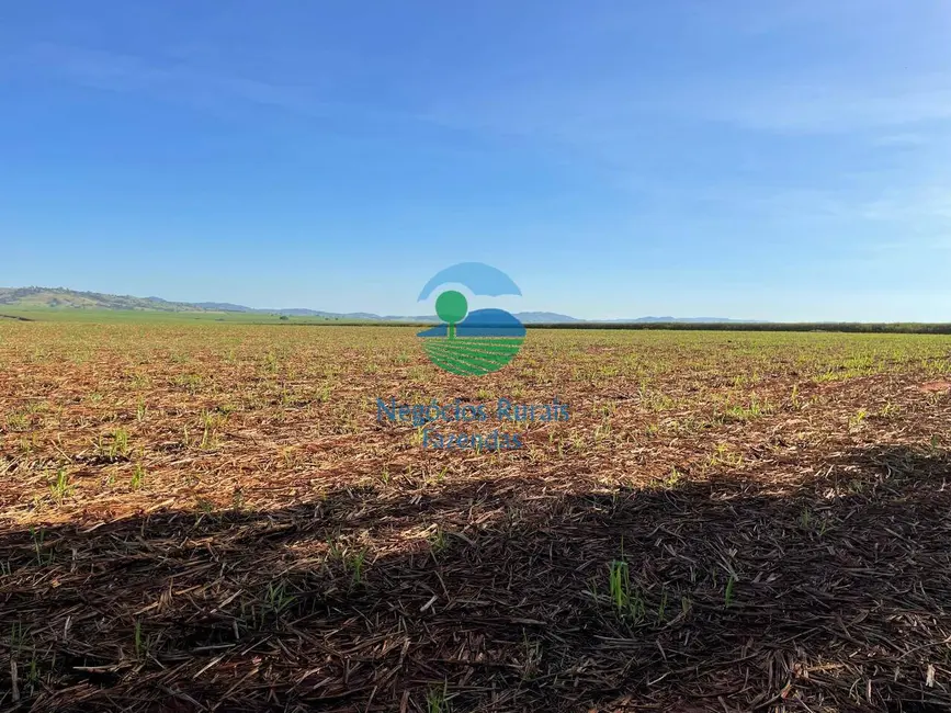 Foto 16 de Fazenda / Haras à venda em Goianesia - GO