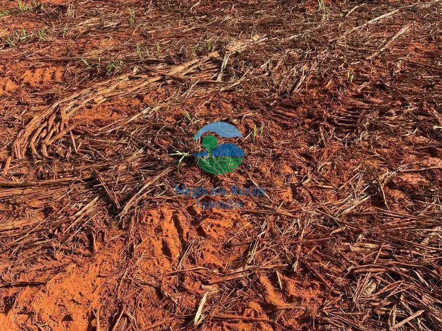 Foto 13 de Fazenda / Haras à venda em Goianesia - GO