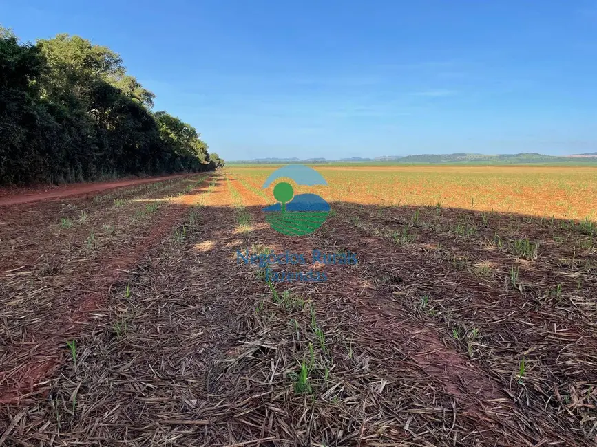 Foto 7 de Fazenda / Haras à venda em Goianesia - GO