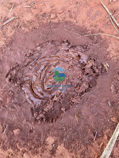 Foto 12 de Fazenda / Haras à venda em Goianesia - GO