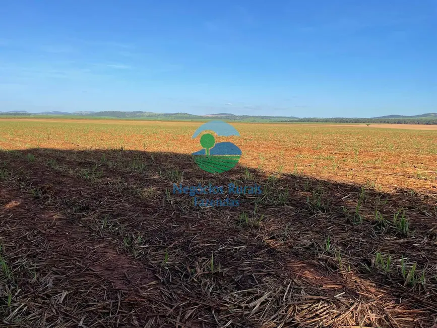 Foto 17 de Fazenda / Haras à venda em Goianesia - GO