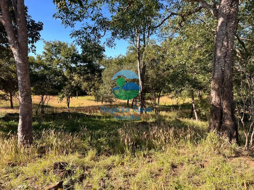 Foto 5 de Fazenda / Haras à venda, 140m2 em Formoso - GO
