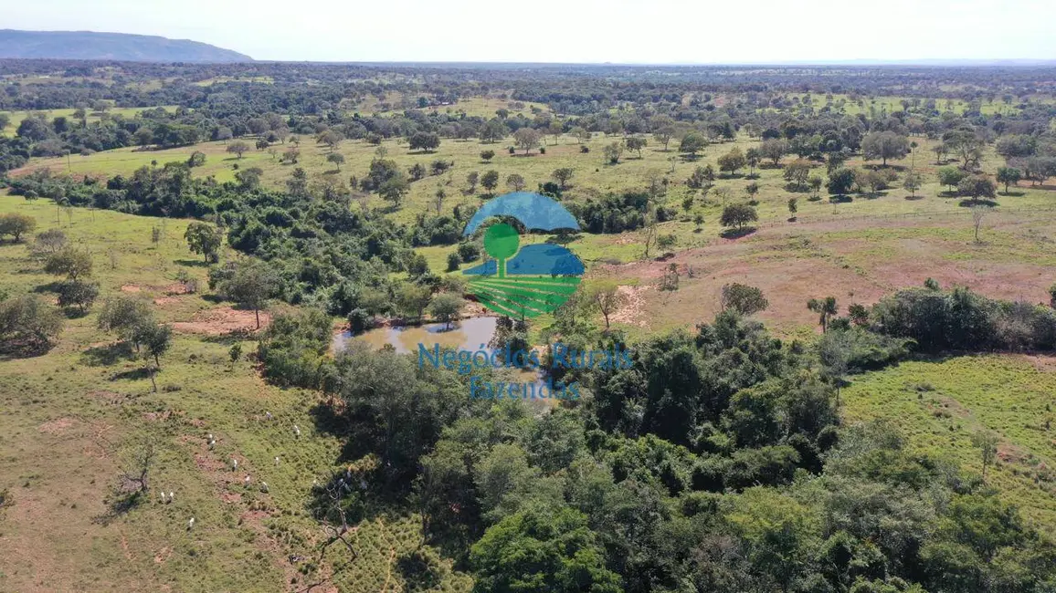 Foto 6 de Fazenda / Haras à venda, 140m2 em Formoso - GO