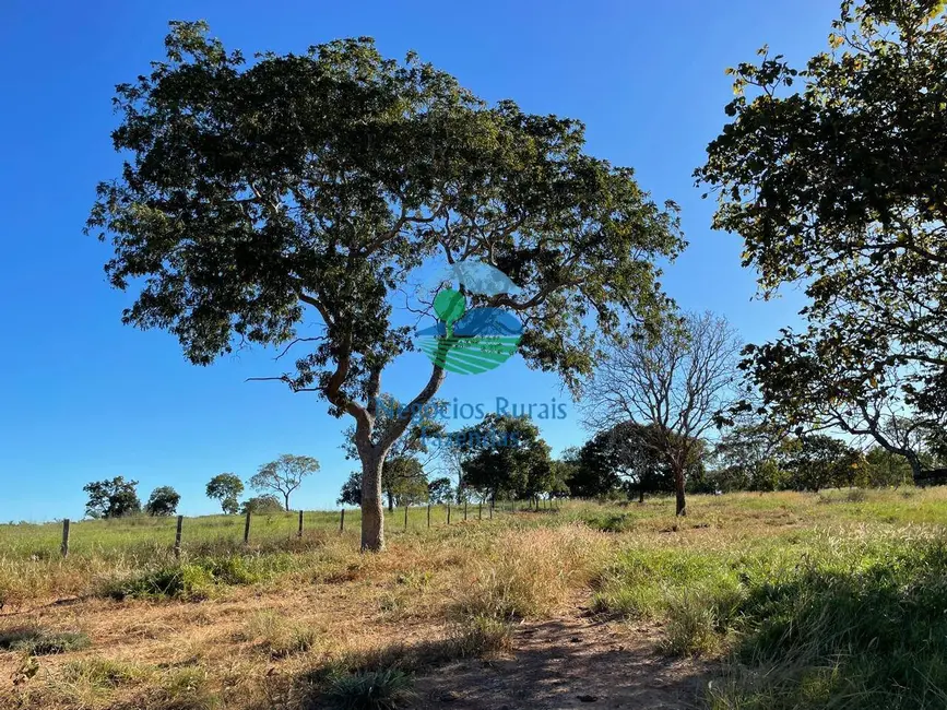 Foto 3 de Fazenda / Haras à venda, 140m2 em Formoso - GO