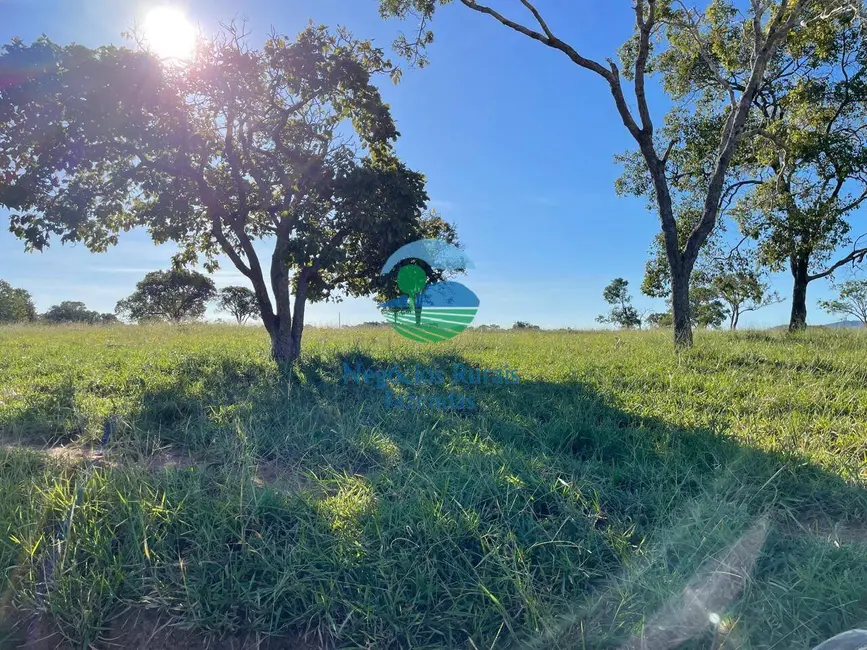 Foto 7 de Fazenda / Haras à venda, 140m2 em Formoso - GO