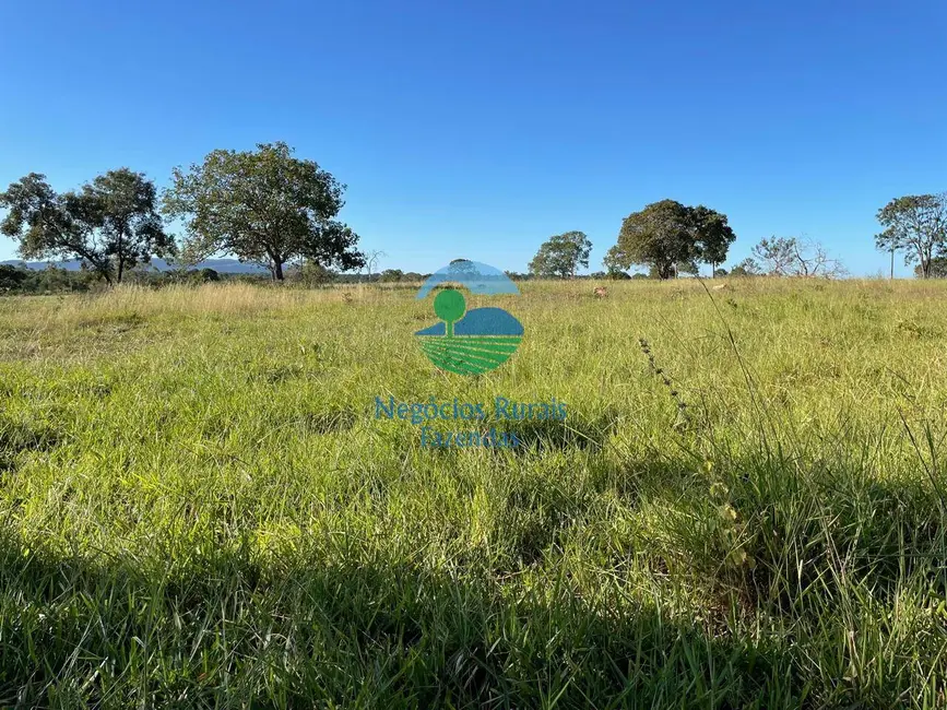 Foto 8 de Fazenda / Haras à venda, 140m2 em Formoso - GO