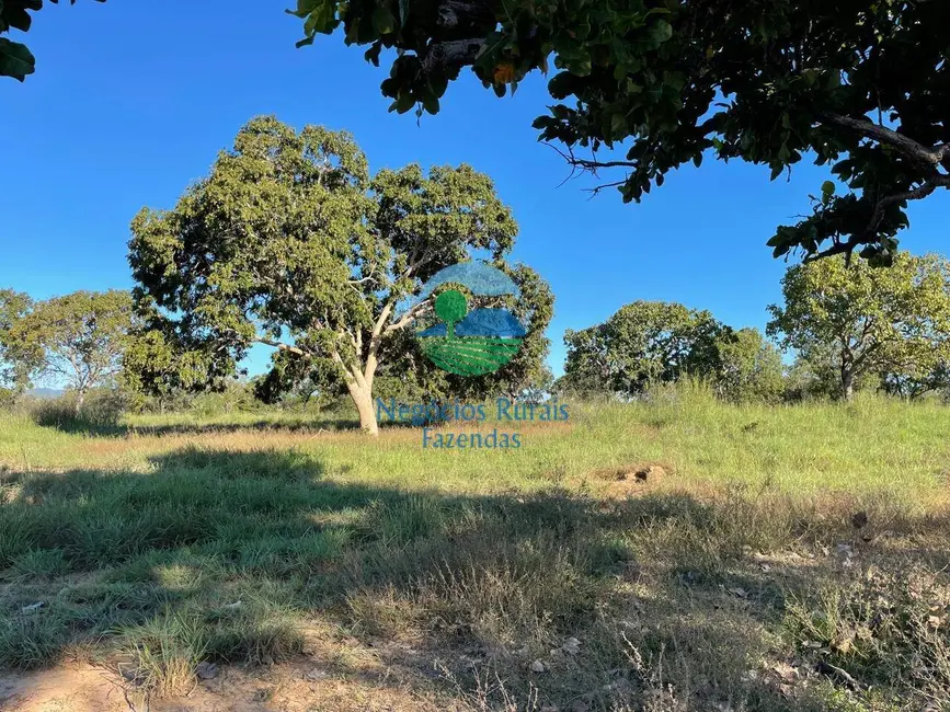 Foto 2 de Fazenda / Haras à venda, 140m2 em Formoso - GO