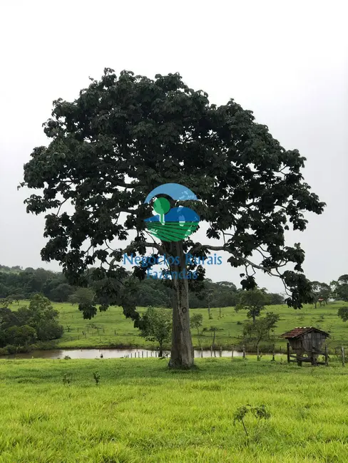 Foto 2 de Fazenda / Haras à venda, 324m2 em Santa Isabel - GO