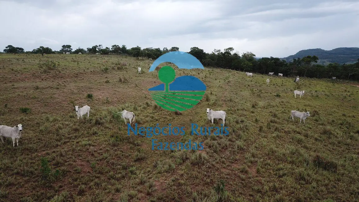 Foto 4 de Fazenda / Haras à venda, 324m2 em Santa Isabel - GO