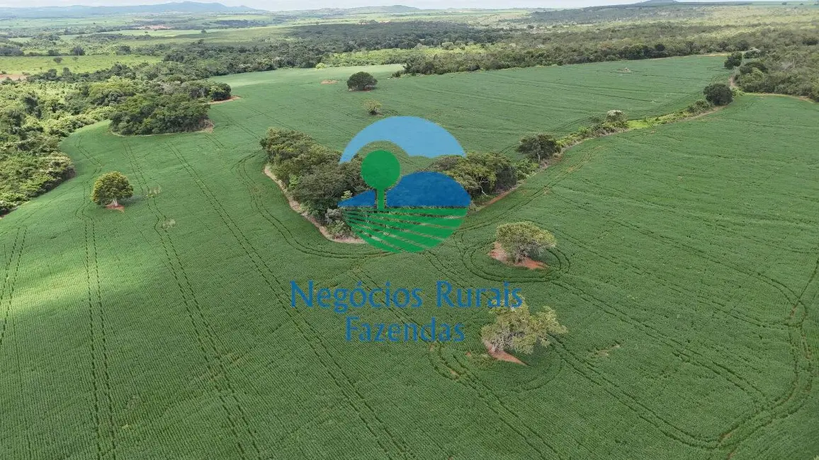 Foto 9 de Fazenda / Haras à venda, 183m2 em Centro, Goianesia - GO